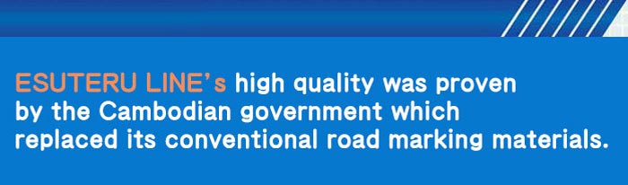 エステルラインのテック鬼城　カンボジアの実績